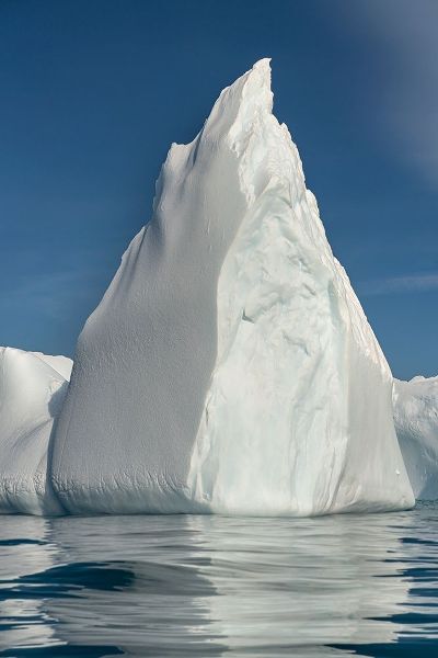 Antarctica-South Georgia Island-Stromness Bay Iceberg reflects in ocean